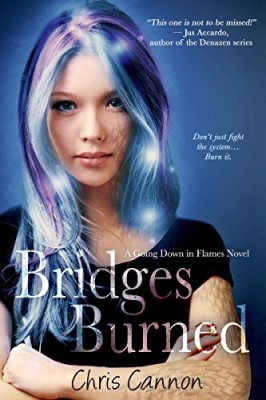 Bridges Burned (Going Down in Flames Book 2)