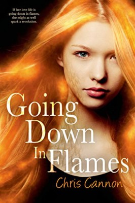 Going Down in Flames (Book 1)