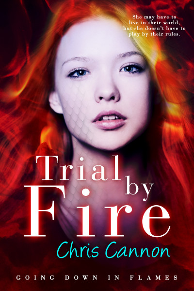 Trial By Fire (Going Down In Flames Book 3)