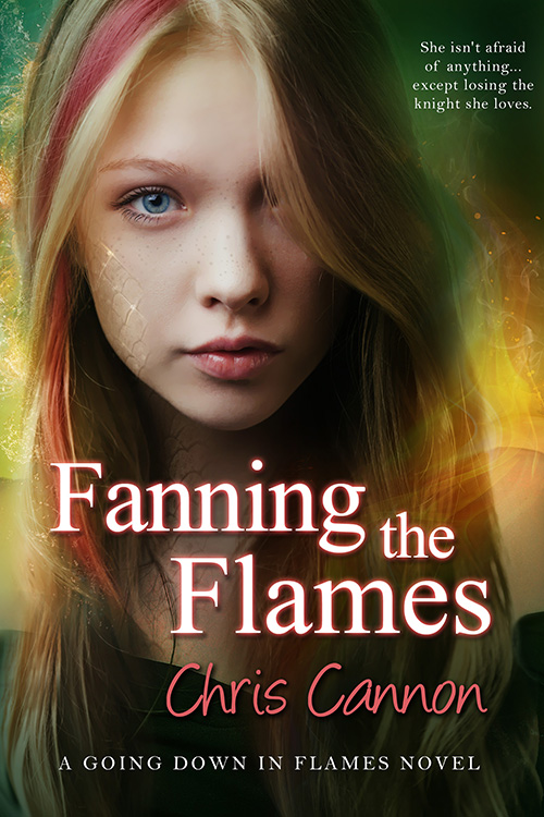 Fanning the Flames(Going Down In Flames Book 4)