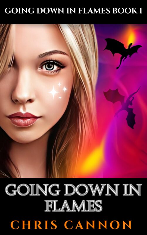 Going Down in Flames (Book 1)
